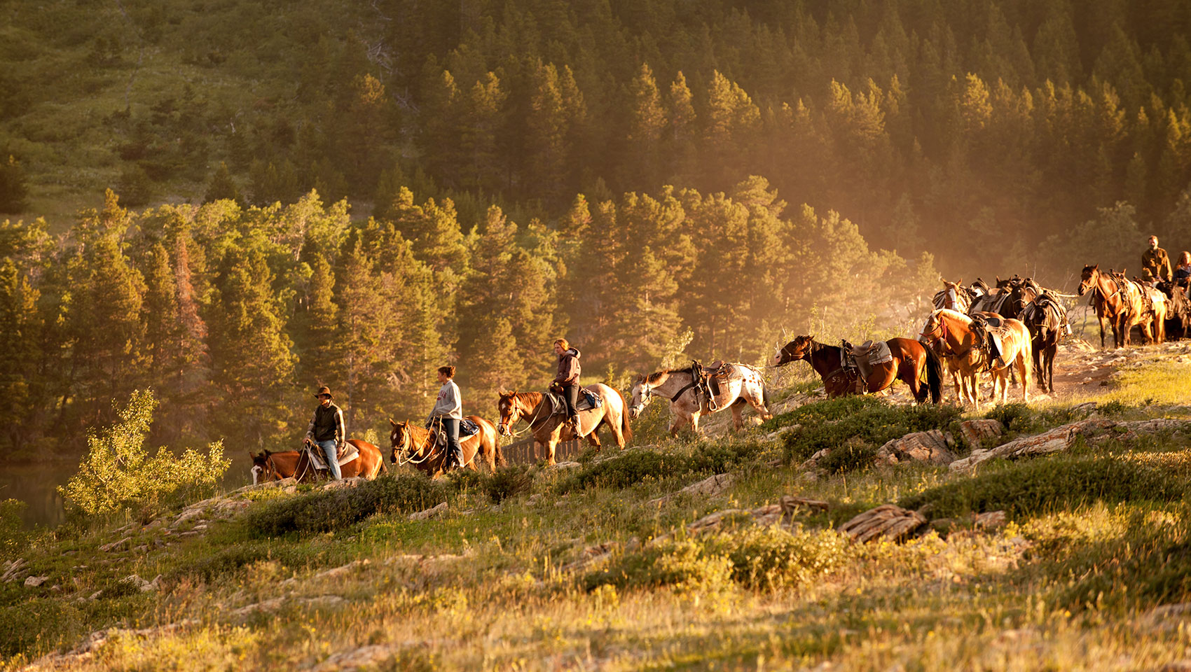 summer activities in bozeman montana horseback riding