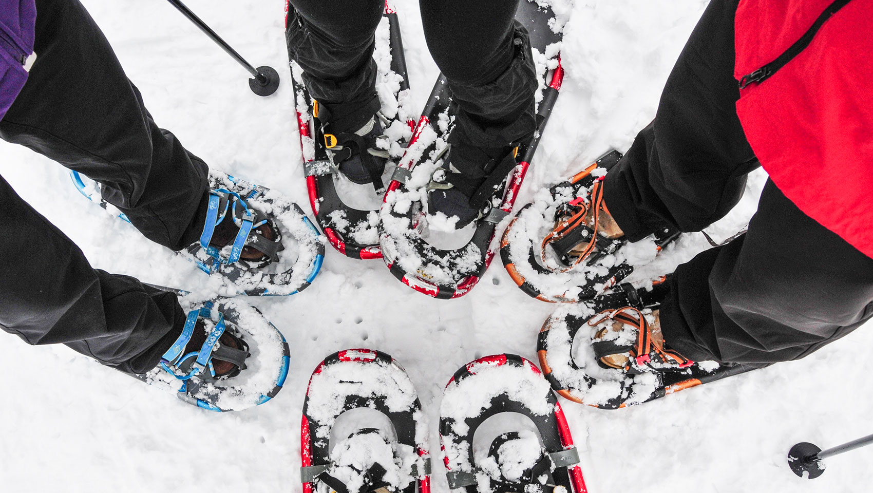 4 sets of feet in snowshoes