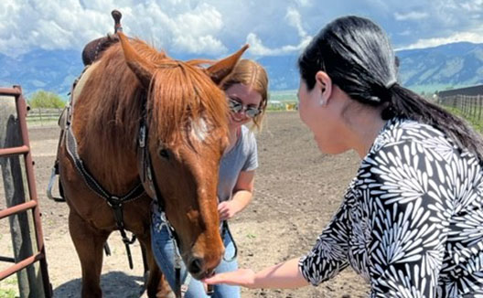 a woman feeding a horse